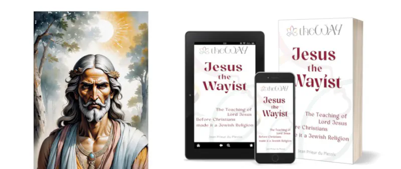 Jesus the Wayist by Jean Prieur du Plessis